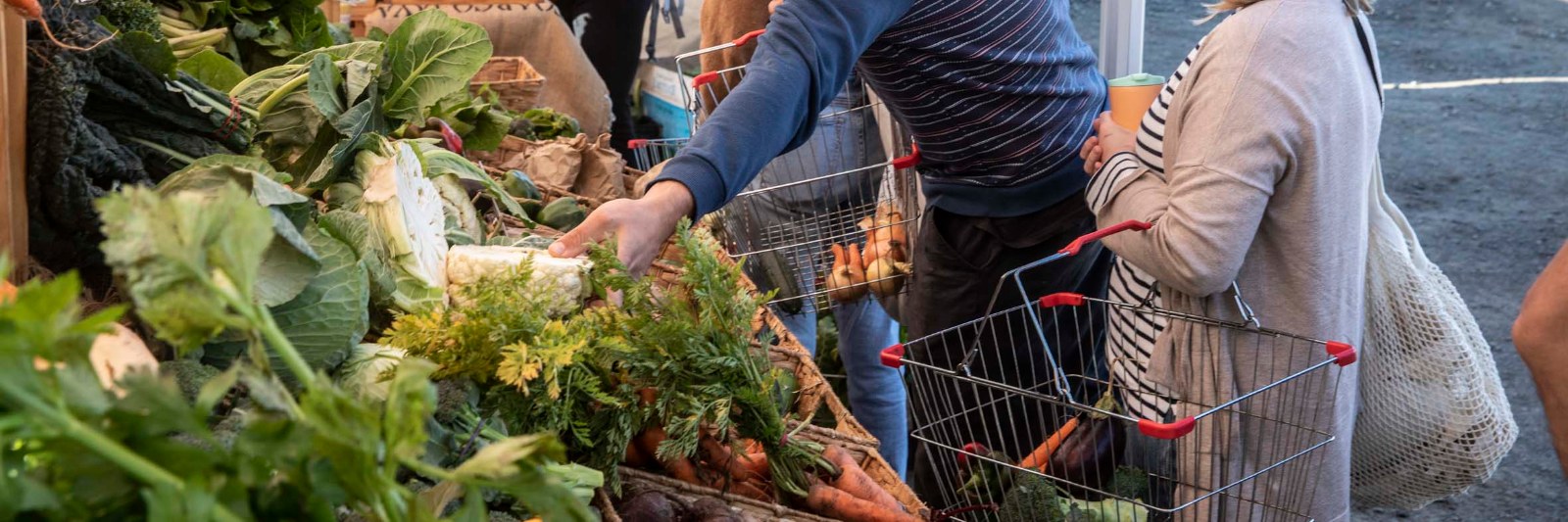 Shoppers choosing vegetables from baskets at Alphington Farmers Market